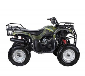 WELS ATV Purga 170 -  .      - 