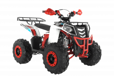  Wels ATV THUNDER EVO 125 s-dostavka  -  .      - 